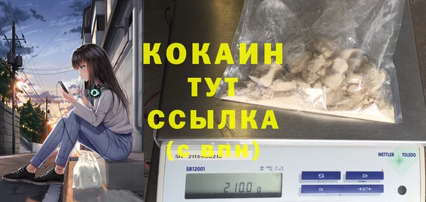 индика Алексеевка