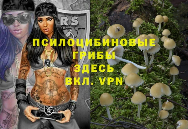 трава Алзамай
